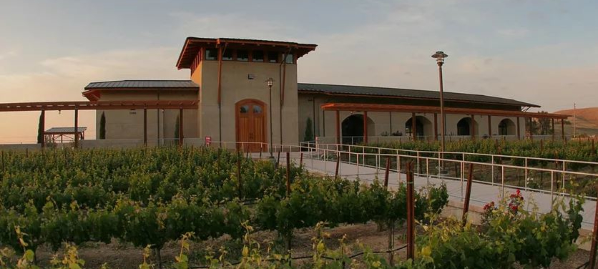 Bella Rosa Vineyard View